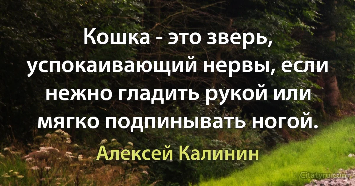 Кошка - это зверь, успокаивающий нервы, если нежно гладить рукой или мягко подпинывать ногой. (Алексей Калинин)