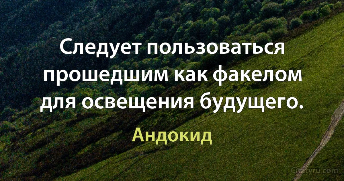 Следует пользоваться прошедшим как факелом для освещения будущего. (Андокид)