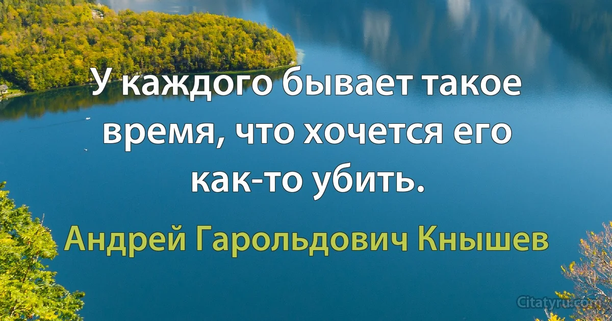 У каждого бывает такое время, что хочется его как-то убить. (Андрей Гарольдович Кнышев)