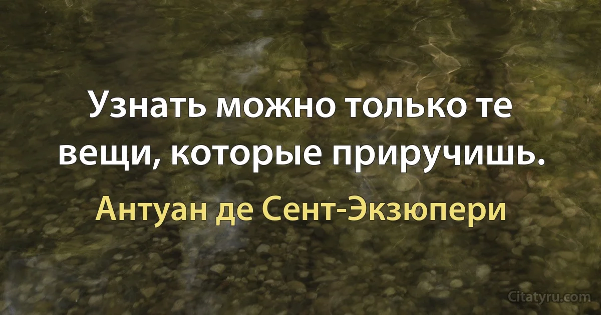 Узнать можно только те вещи, которые приручишь. (Антуан де Сент-Экзюпери)