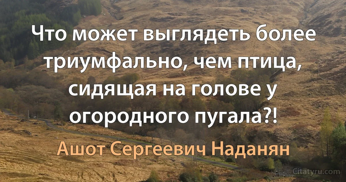 Что может выглядеть более триумфально, чем птица, сидящая на голове у огородного пугала?! (Ашот Сергеевич Наданян)