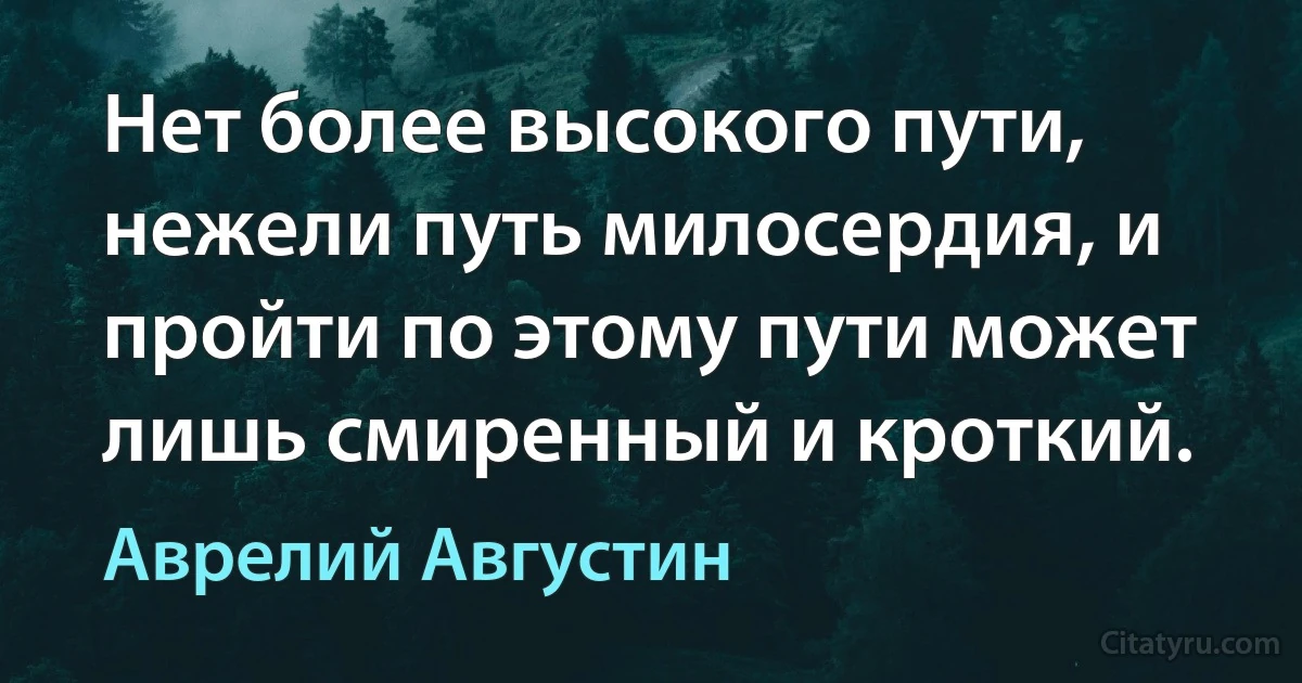 Нет более высокого пути, нежели путь милосердия, и пройти по этому пути может лишь смиренный и кроткий. (Аврелий Августин)