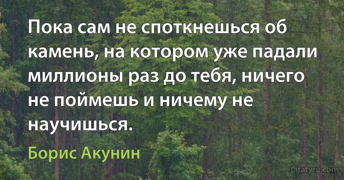 Пока сам не споткнешься об камень, на котором уже падали миллионы раз до тебя, ничего не поймешь и ничему не научишься. (Борис Акунин)