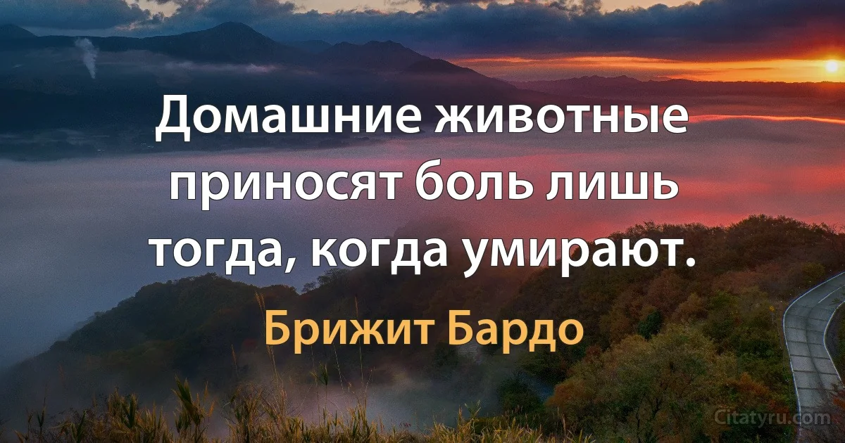 Домашние животные приносят боль лишь тогда, когда умирают. (Брижит Бардо)