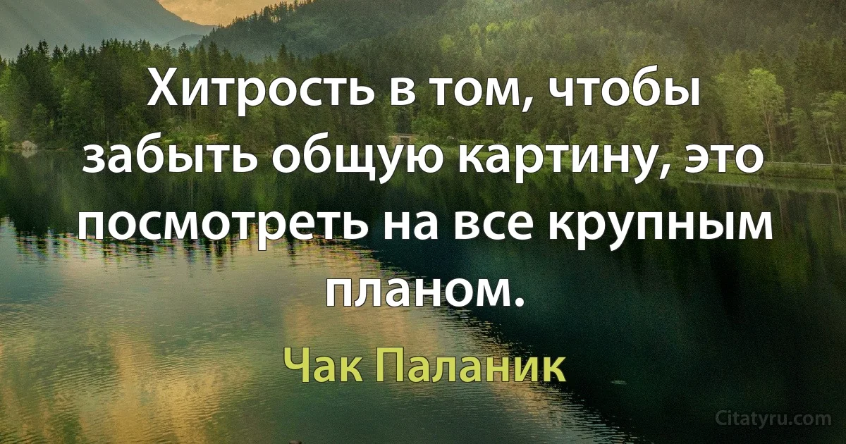 Хитрость в том, чтобы забыть общую картину, это посмотреть на все крупным планом. (Чак Паланик)