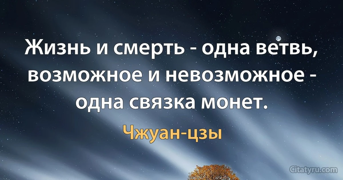 Жизнь и смерть - одна ветвь, возможное и невозможное - одна связка монет. (Чжуан-цзы)