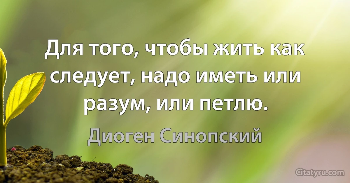 Для того, чтобы жить как следует, надо иметь или разум, или петлю. (Диоген Синопский)