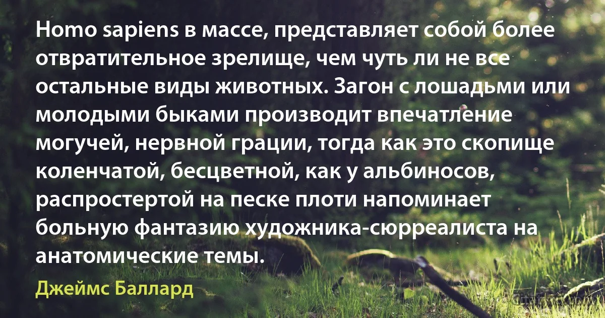 Homo sapiens в массе, представляет собой более отвратительное зрелище, чем чуть ли не все остальные виды животных. Загон с лошадьми или молодыми быками производит впечатление могучей, нервной грации, тогда как это скопище коленчатой, бесцветной, как у альбиносов, распростертой на песке плоти напоминает больную фантазию художника-сюрреалиста на анатомические темы. (Джеймс Баллард)