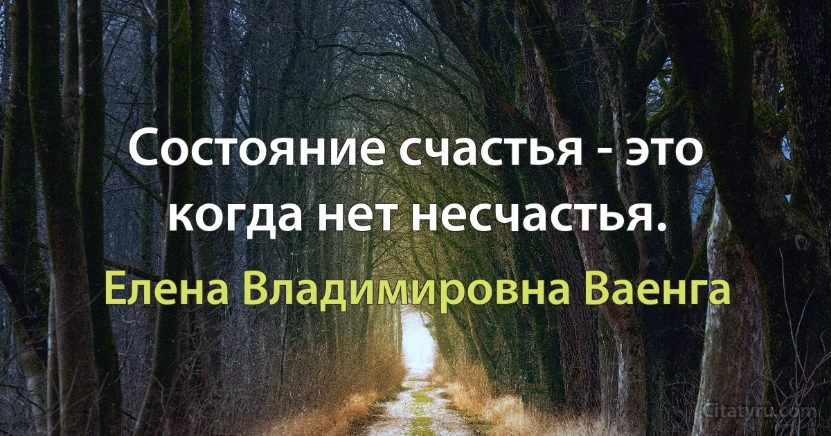 Состояние счастья - это когда нет несчастья. (Елена Владимировна Ваенга)