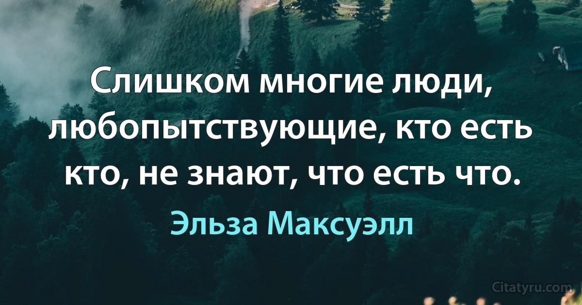 Слишком многие люди, любопытствующие, кто есть кто, не знают, что есть что. (Эльза Максуэлл)