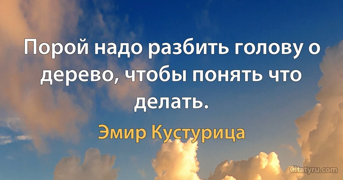 Порой надо разбить голову о дерево, чтобы понять что делать. (Эмир Кустурица)