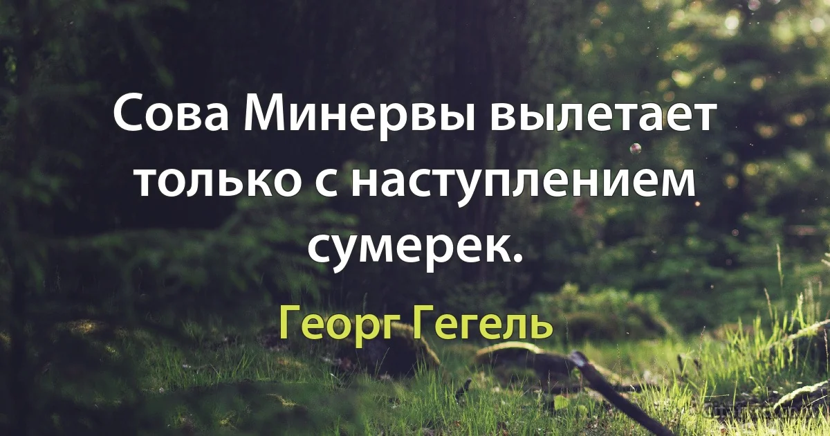 Сова Минервы вылетает только с наступлением сумерек. (Георг Гегель)