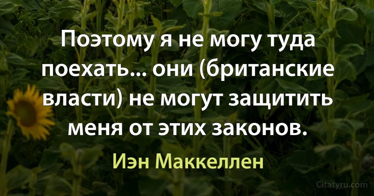 Поэтому я не могу туда поехать... они (британские власти) не могут защитить меня от этих законов. (Иэн Маккеллен)