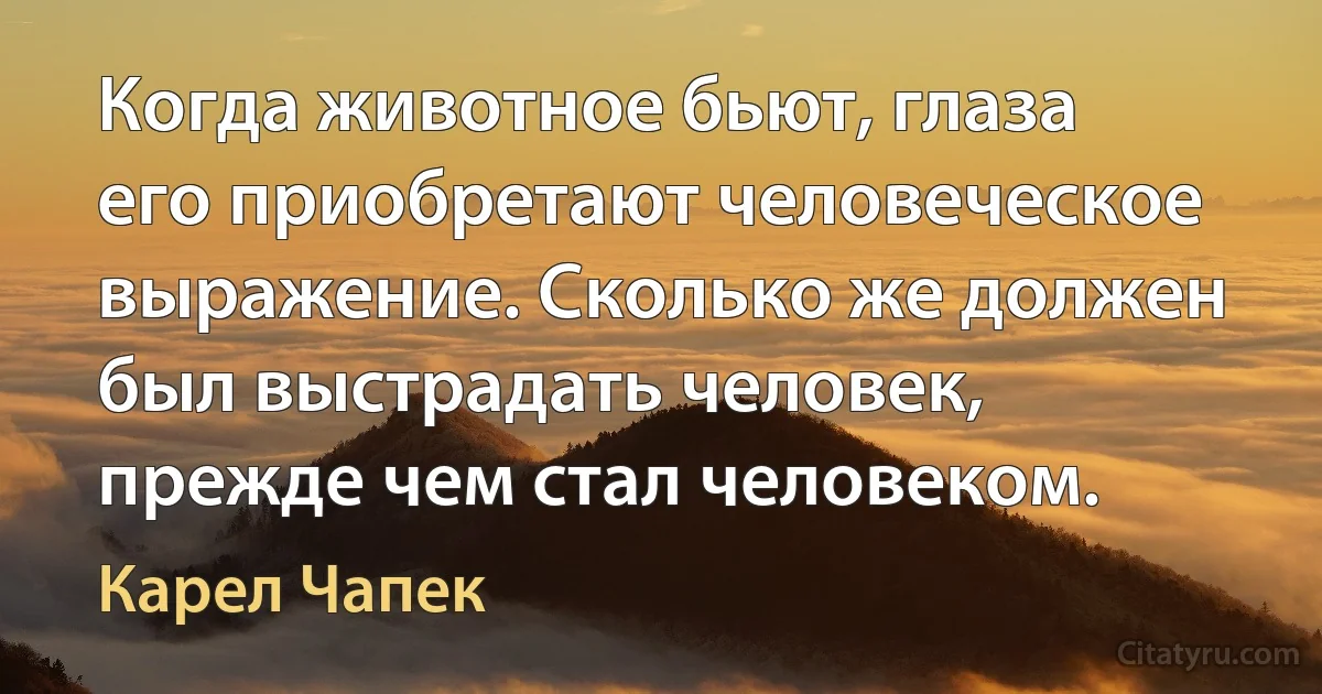 Когда животное бьют, глаза его приобретают человеческое выражение. Сколько же должен был выстрадать человек, прежде чем стал человеком. (Карел Чапек)