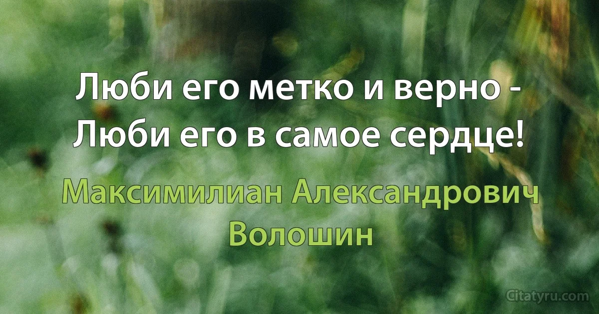 Люби его метко и верно -
Люби его в самое сердце! (Максимилиан Александрович Волошин)