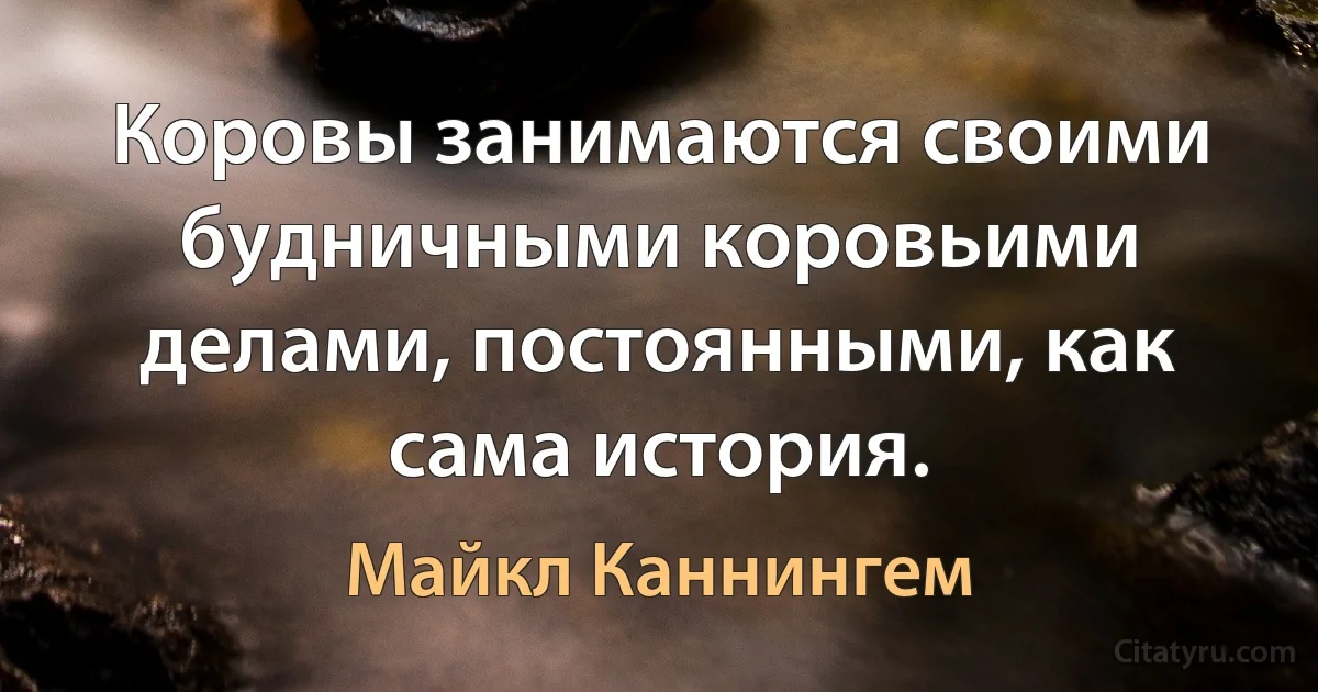 Коровы занимаются своими будничными коровьими делами, постоянными, как сама история. (Майкл Каннингем)