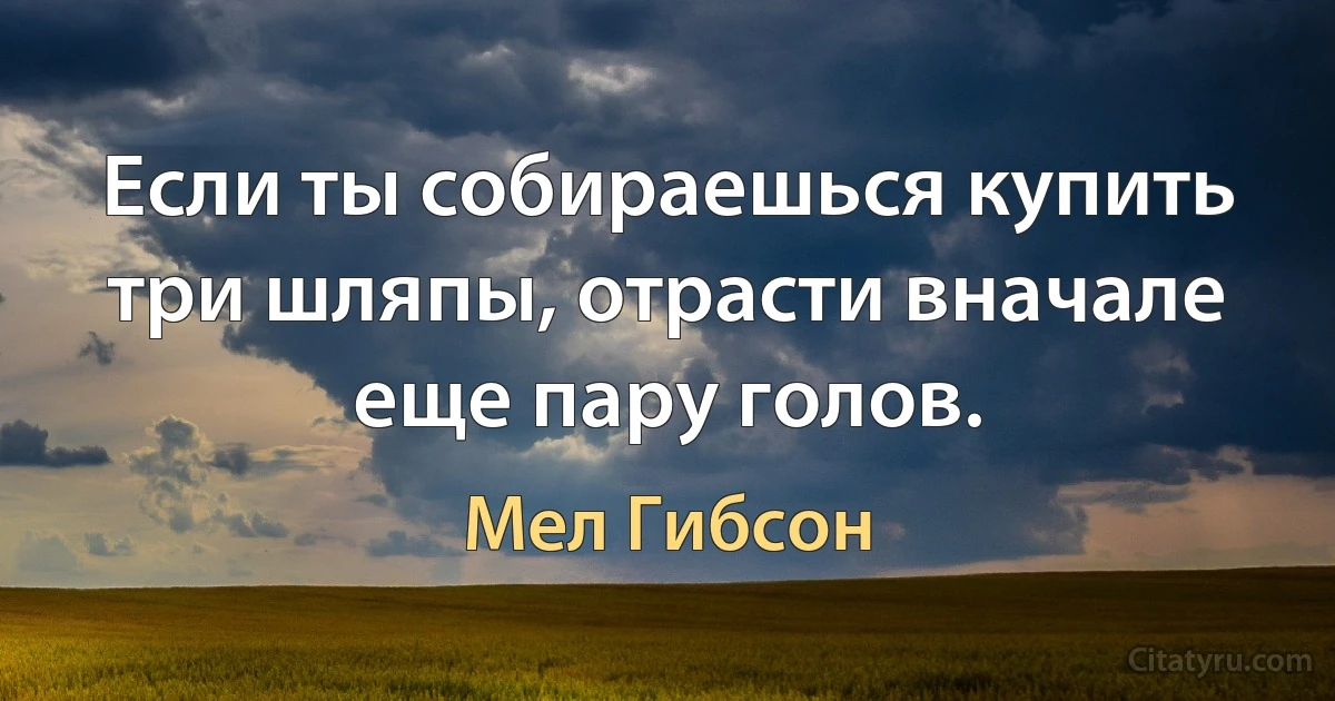 Если ты собираешься купить три шляпы, отрасти вначале еще пару голов. (Мел Гибсон)