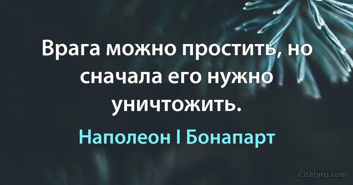 Врага можно простить, но сначала его нужно уничтожить. (Наполеон I Бонапарт)