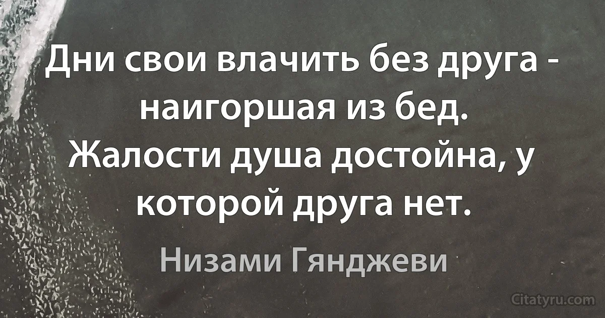 Дни свои влачить без друга - наигоршая из бед. 
Жалости душа достойна, у которой друга нет. (Низами Гянджеви)