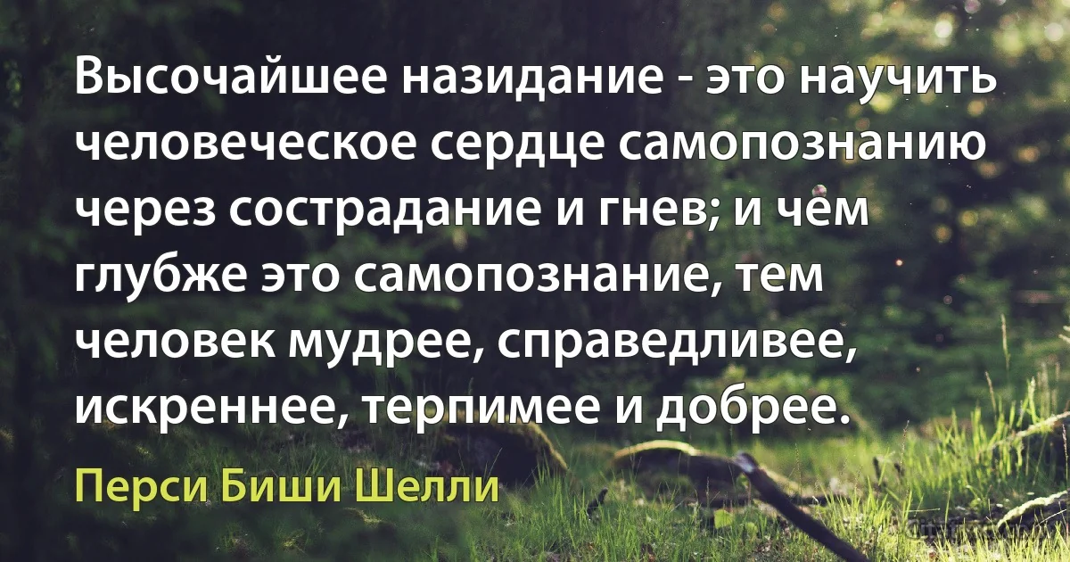 Высочайшее назидание - это научить человеческое сердце самопознанию через сострадание и гнев; и чем глубже это самопознание, тем человек мудрее, справедливее, искреннее, терпимее и добрее. (Перси Биши Шелли)