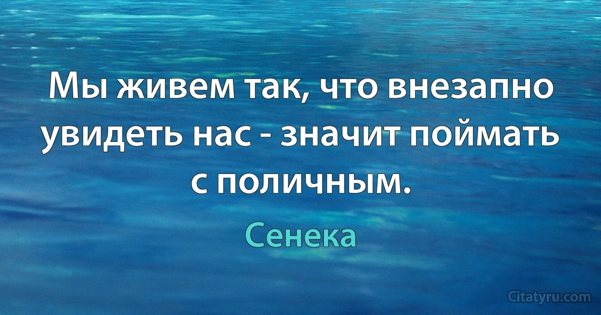 Мы живем так, что внезапно увидеть нас - значит поймать с поличным. (Сенека)