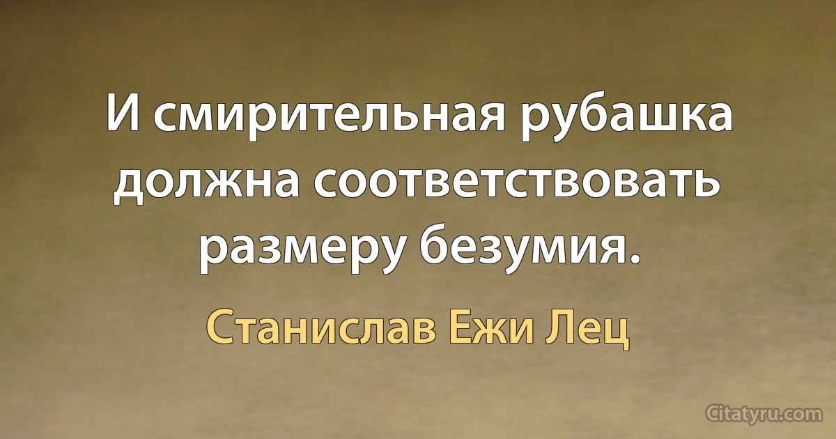 И смирительная рубашка должна соответствовать размеру безумия. (Станислав Ежи Лец)