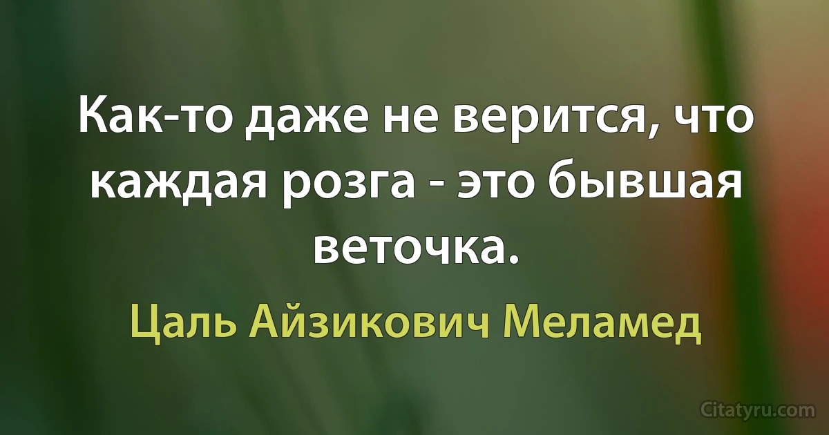 Как-то даже не верится, что каждая розга - это бывшая веточка. (Цаль Айзикович Меламед)