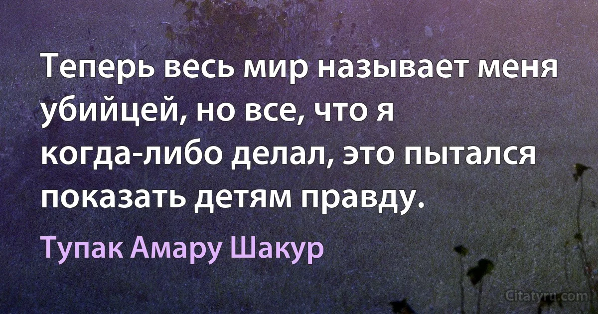 Теперь весь мир называет меня убийцей, но все, что я когда-либо делал, это пытался показать детям правду. (Тупак Амару Шакур)