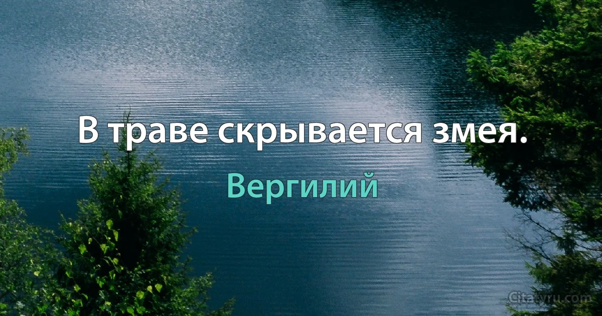 В траве скрывается змея. (Вергилий)