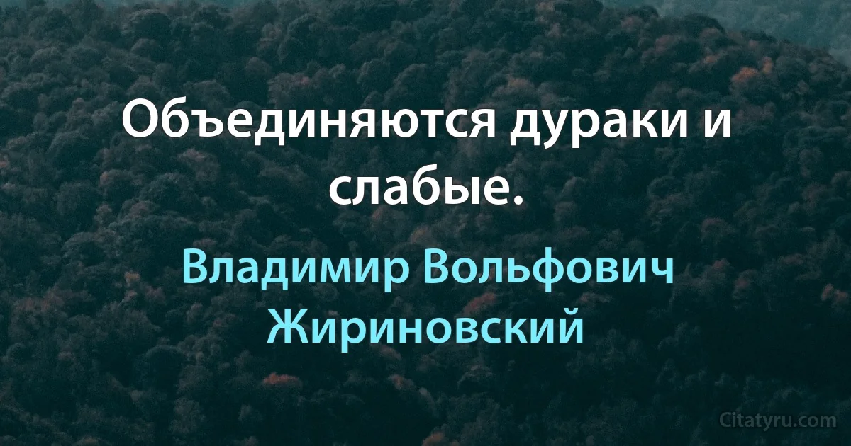 Объединяются дураки и слабые. (Владимир Вольфович Жириновский)