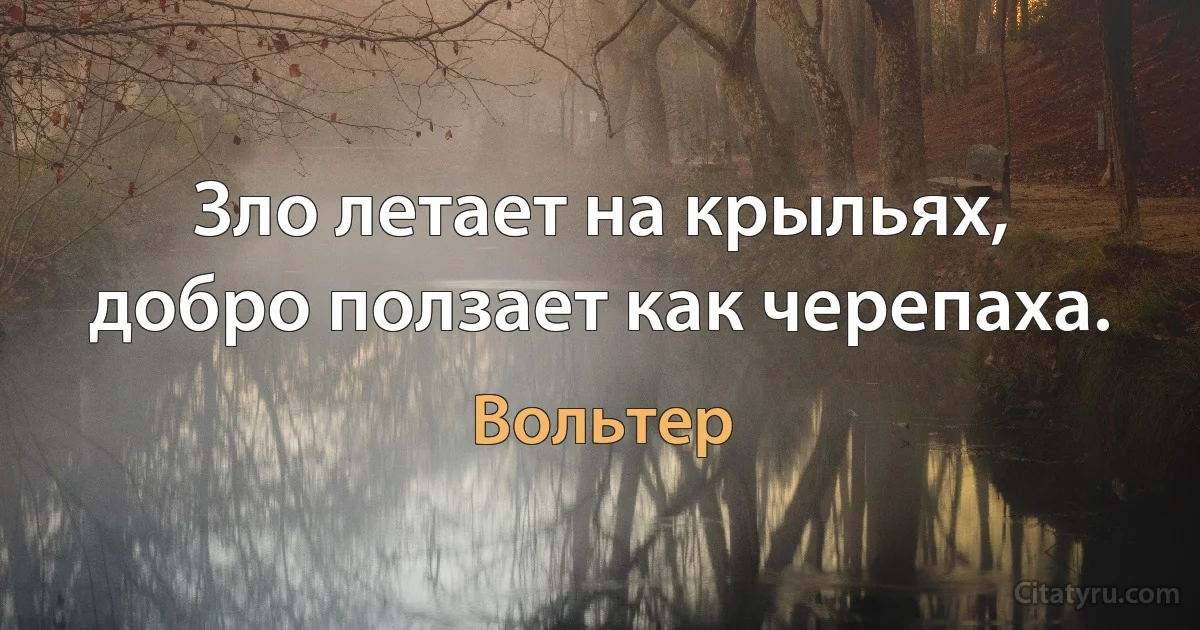 Зло летает на крыльях, добро ползает как черепаха. (Вольтер)