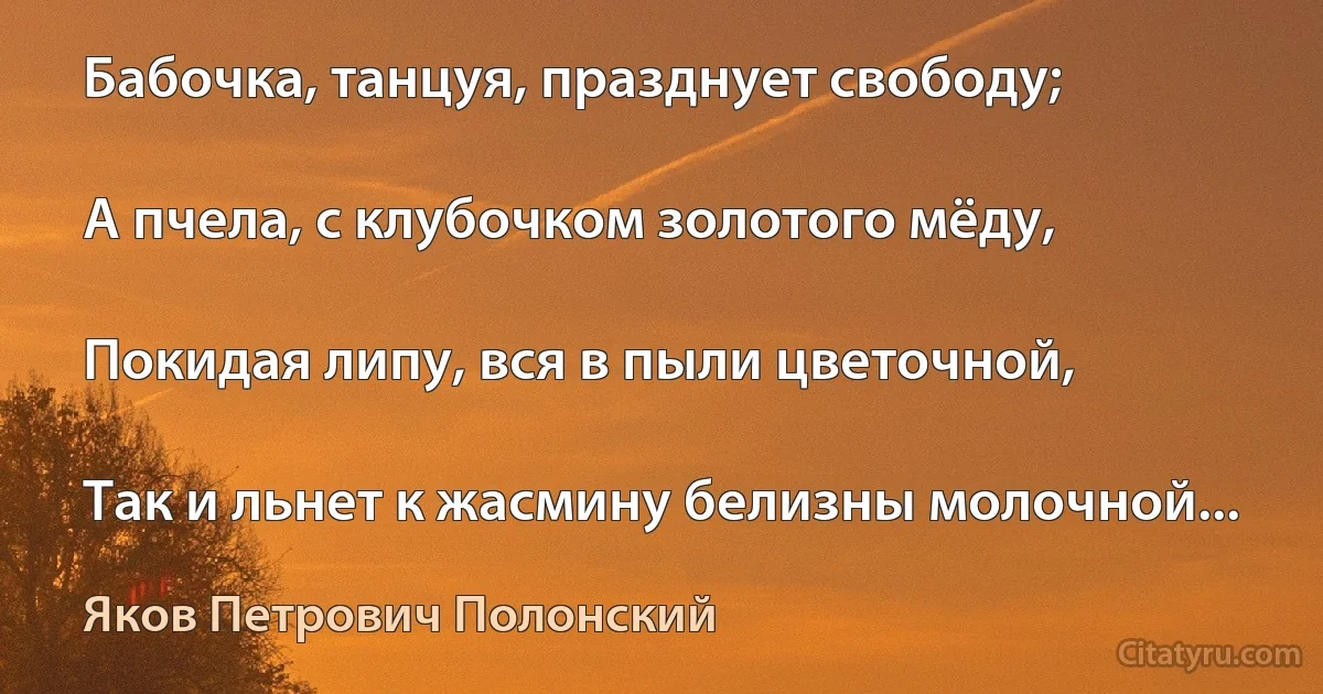 Бабочка, танцуя, празднует свободу;

А пчела, с клубочком золотого мёду,

Покидая липу, вся в пыли цветочной,

Так и льнет к жасмину белизны молочной... (Яков Петрович Полонский)