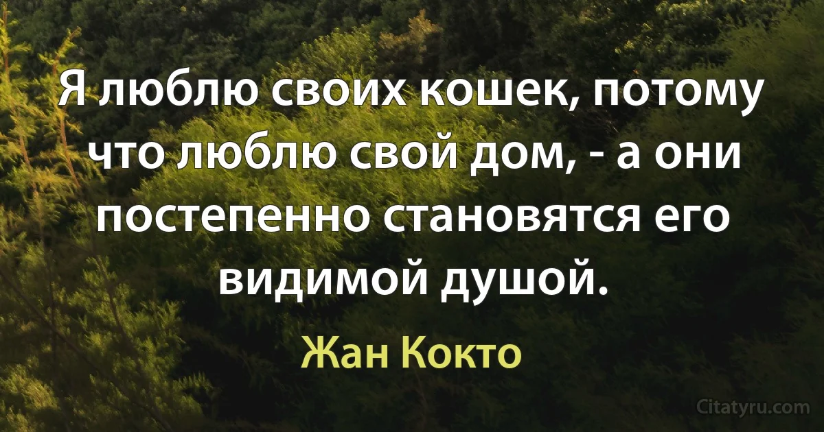 Я люблю своих кошек, потому что люблю свой дом, - а они постепенно становятся его видимой душой. (Жан Кокто)