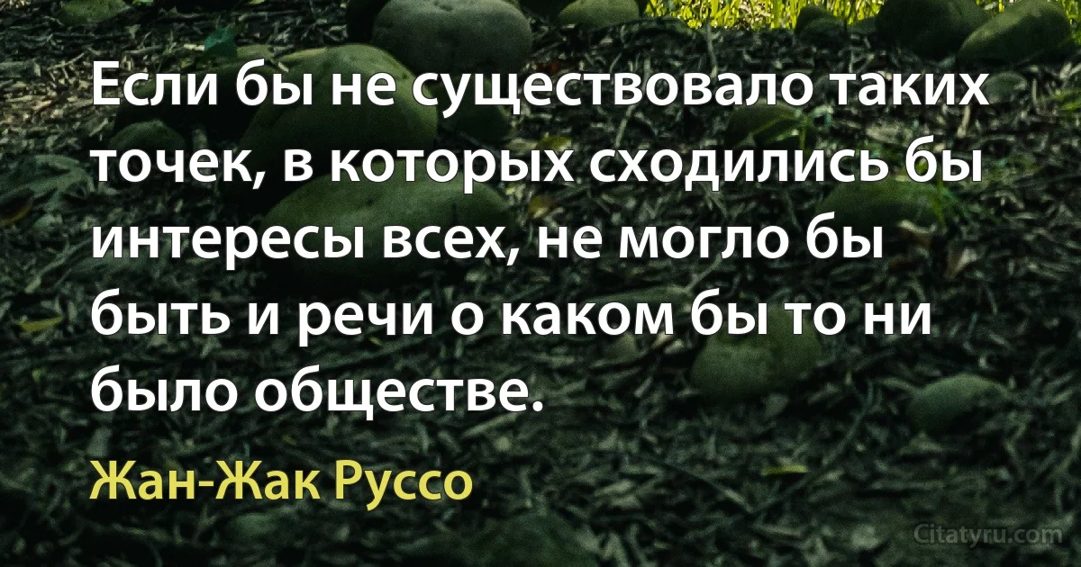 Если бы не существовало таких точек, в которых сходились бы интересы всех, не могло бы быть и речи о каком бы то ни было обществе. (Жан-Жак Руссо)