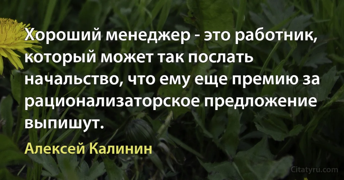 Хороший менеджер - это работник, который может так послать начальство, что ему еще премию за рационализаторское предложение выпишут. (Алексей Калинин)