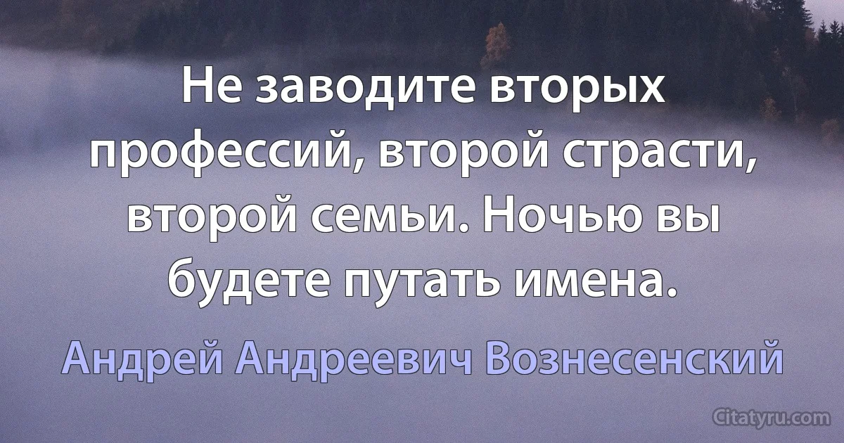 Не заводите вторых профессий, второй страсти, второй семьи. Ночью вы будете путать имена. (Андрей Андреевич Вознесенский)