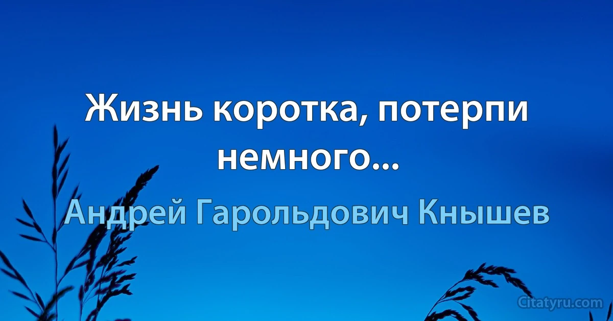 Жизнь коротка, потерпи немного... (Андрей Гарольдович Кнышев)