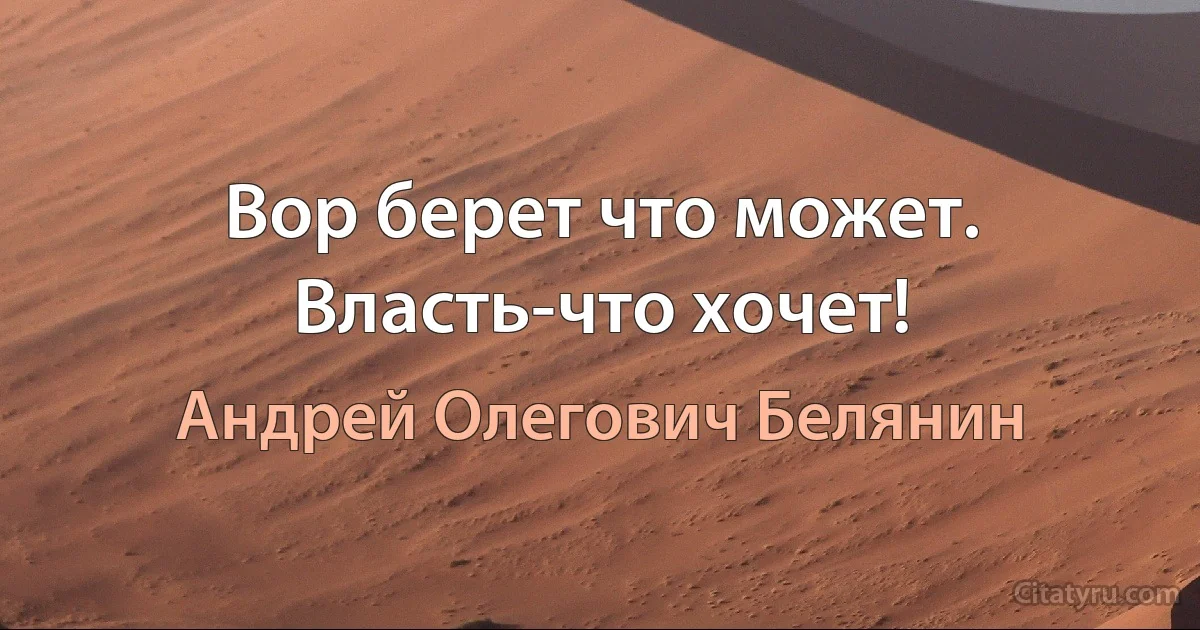 Вор берет что может. Власть-что хочет! (Андрей Олегович Белянин)