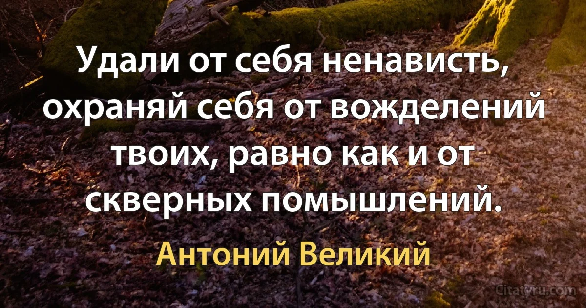 Удали от себя ненависть, охраняй себя от вожделений твоих, равно как и от скверных помышлений. (Антоний Великий)