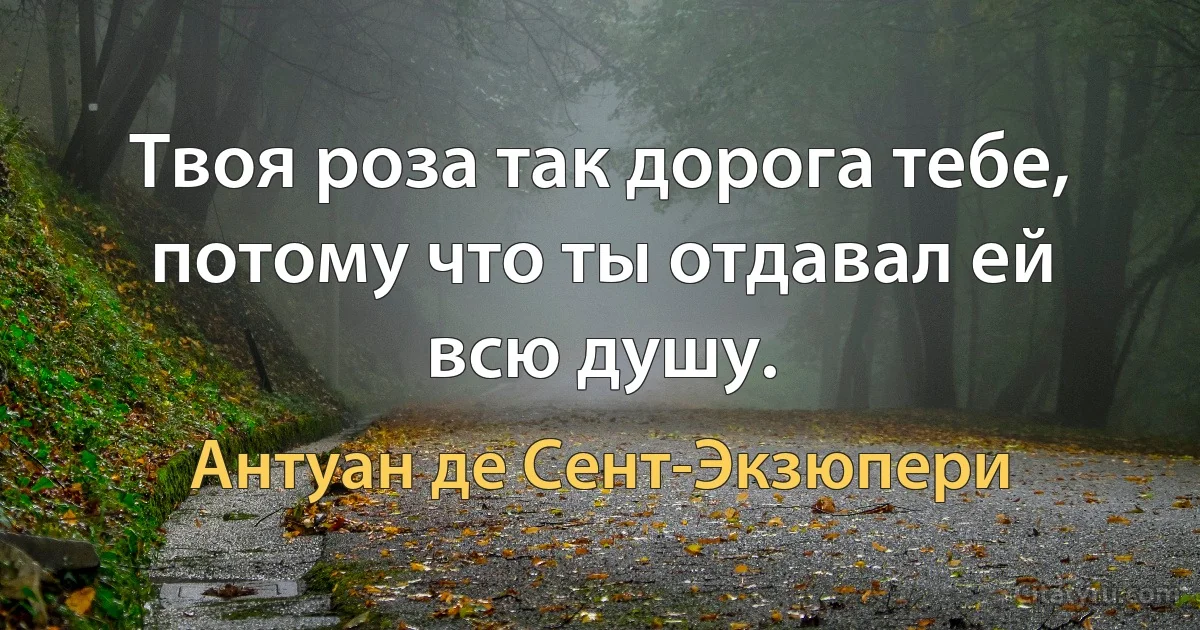 Твоя роза так дорога тебе, потому что ты отдавал ей всю душу. (Антуан де Сент-Экзюпери)