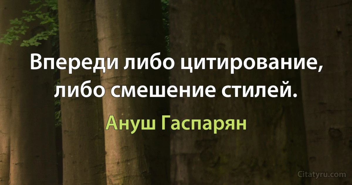 Впереди либо цитирование, либо смешение стилей. (Ануш Гаспарян)