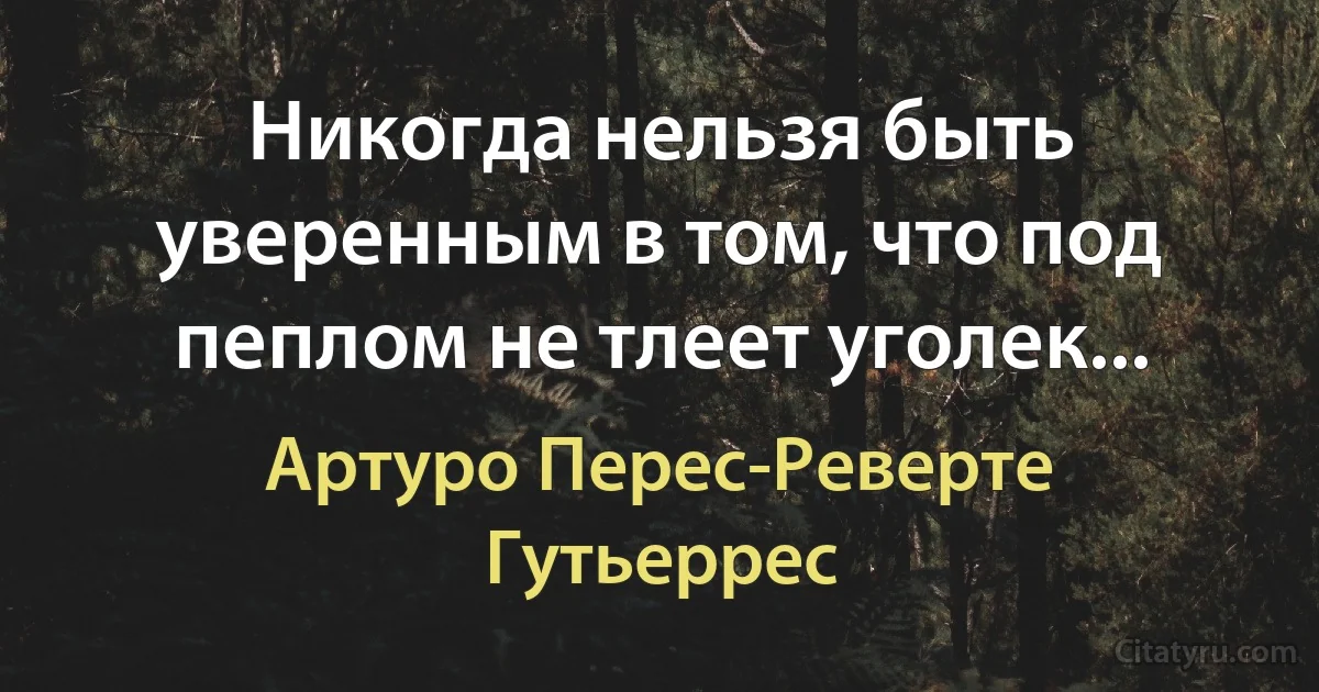 Никогда нельзя быть уверенным в том, что под пеплом не тлеет уголек... (Артуро Перес-Реверте Гутьеррес)