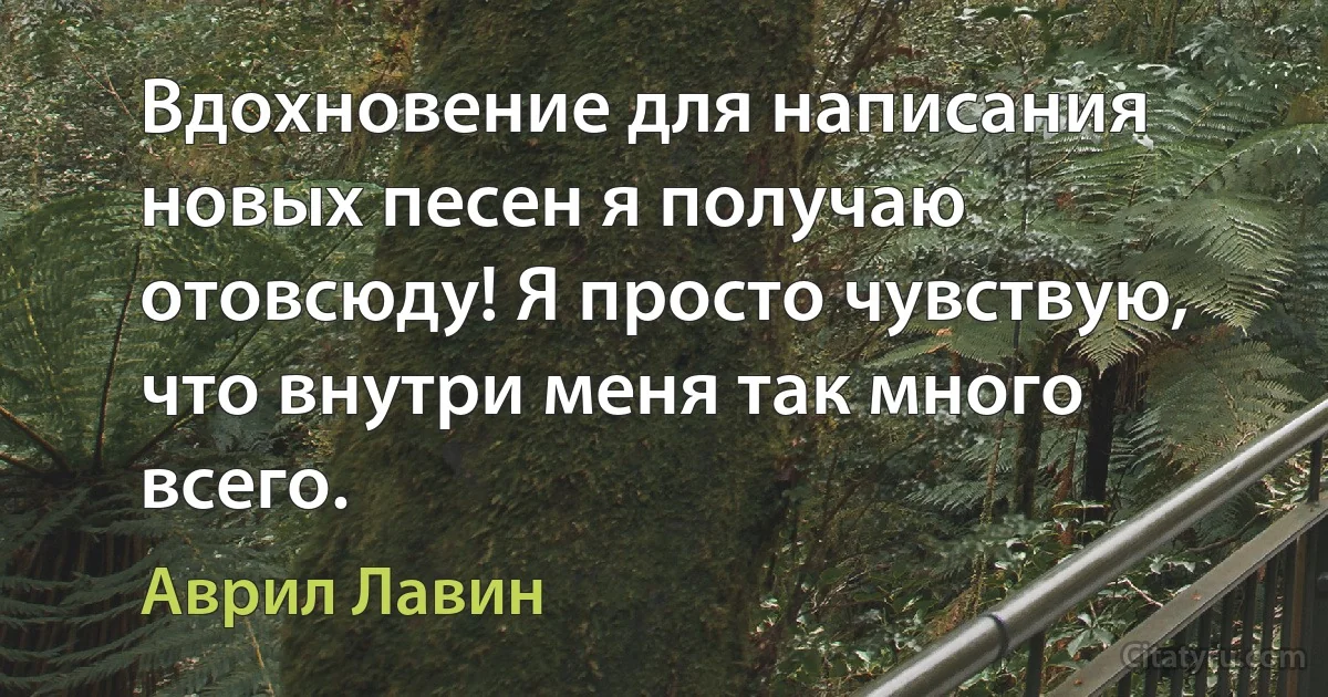 Вдохновение для написания новых песен я получаю отовсюду! Я просто чувствую, что внутри меня так много всего. (Аврил Лавин)