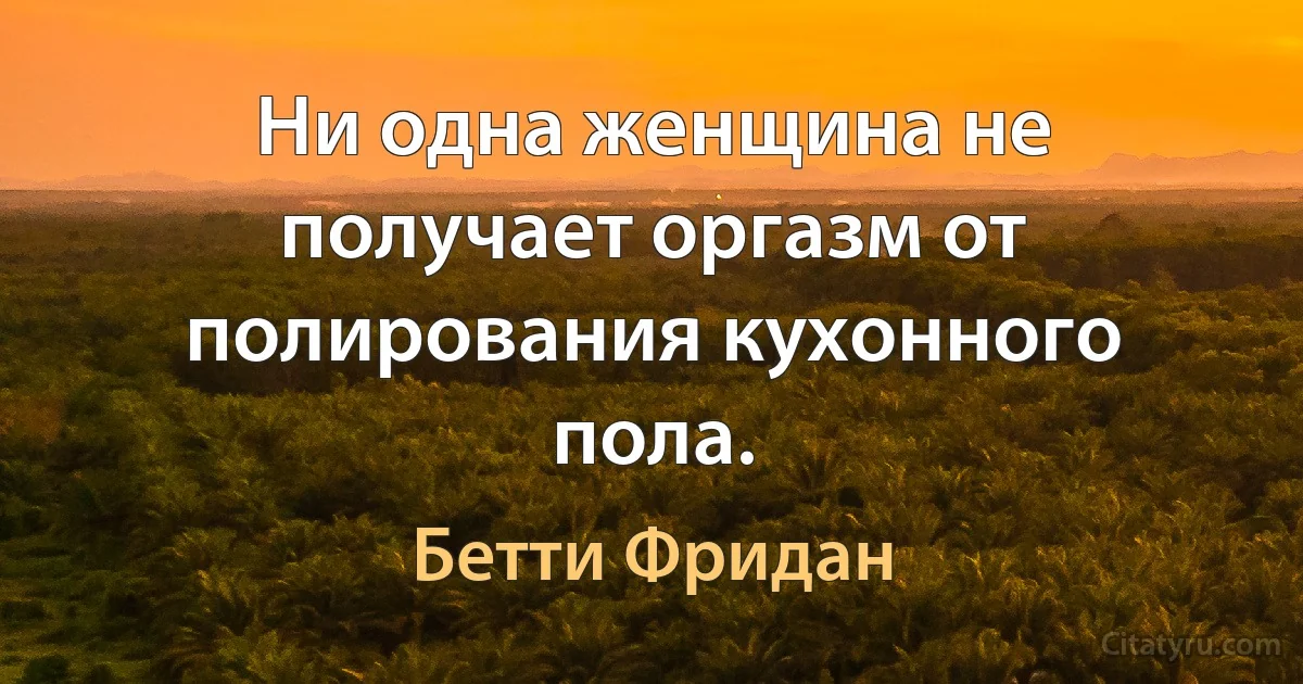 Ни одна женщина не получает оргазм от полирования кухонного пола. (Бетти Фридан)