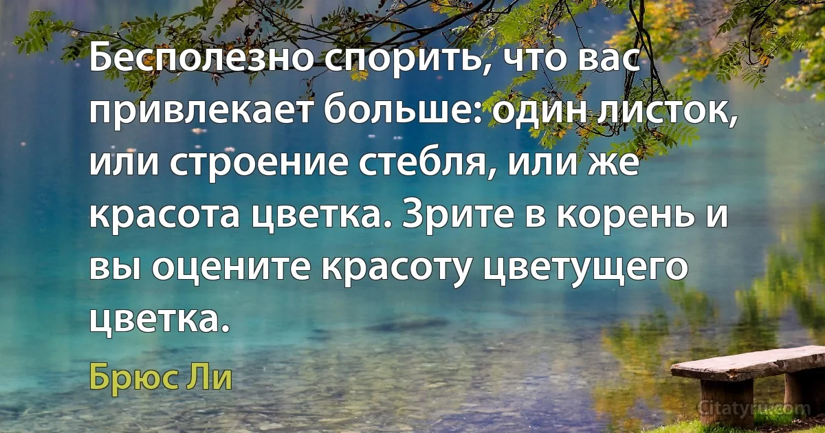 Бесполезно спорить, что вас привлекает больше: один листок, или строение стебля, или же красота цветка. Зрите в корень и вы оцените красоту цветущего цветка. (Брюс Ли)