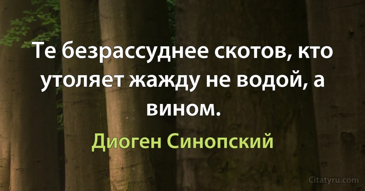 Те безрассуднее скотов, кто утоляет жажду не водой, а вином. (Диоген Синопский)