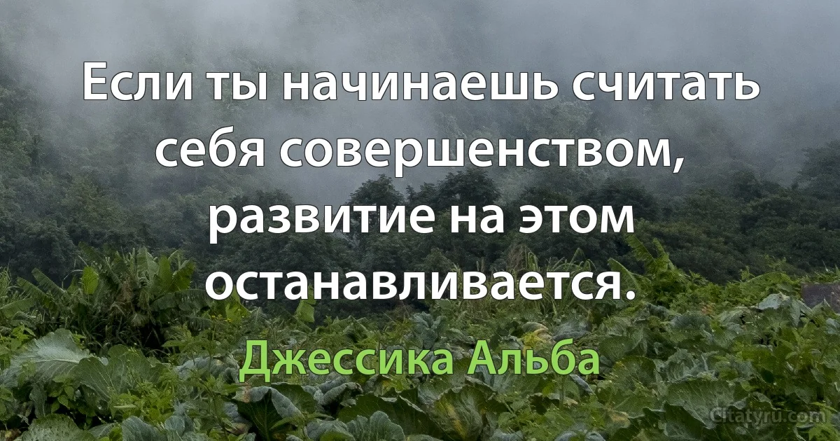 Если ты начинаешь считать себя совершенством, развитие на этом останавливается. (Джессика Альба)