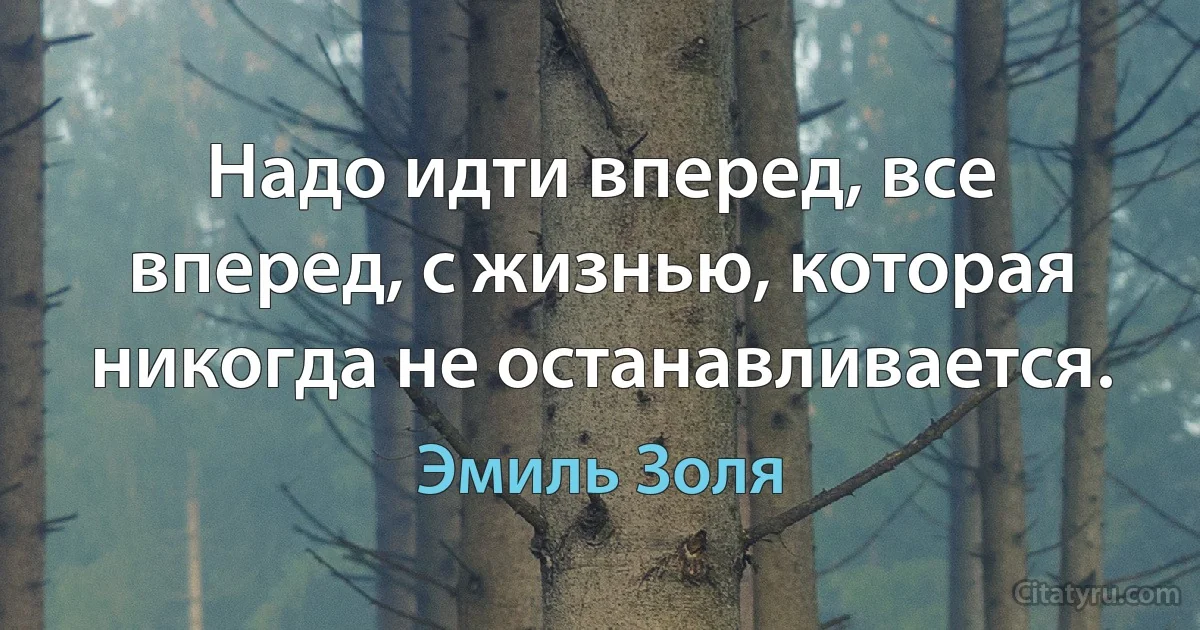 Надо идти вперед, все вперед, с жизнью, которая никогда не останавливается. (Эмиль Золя)