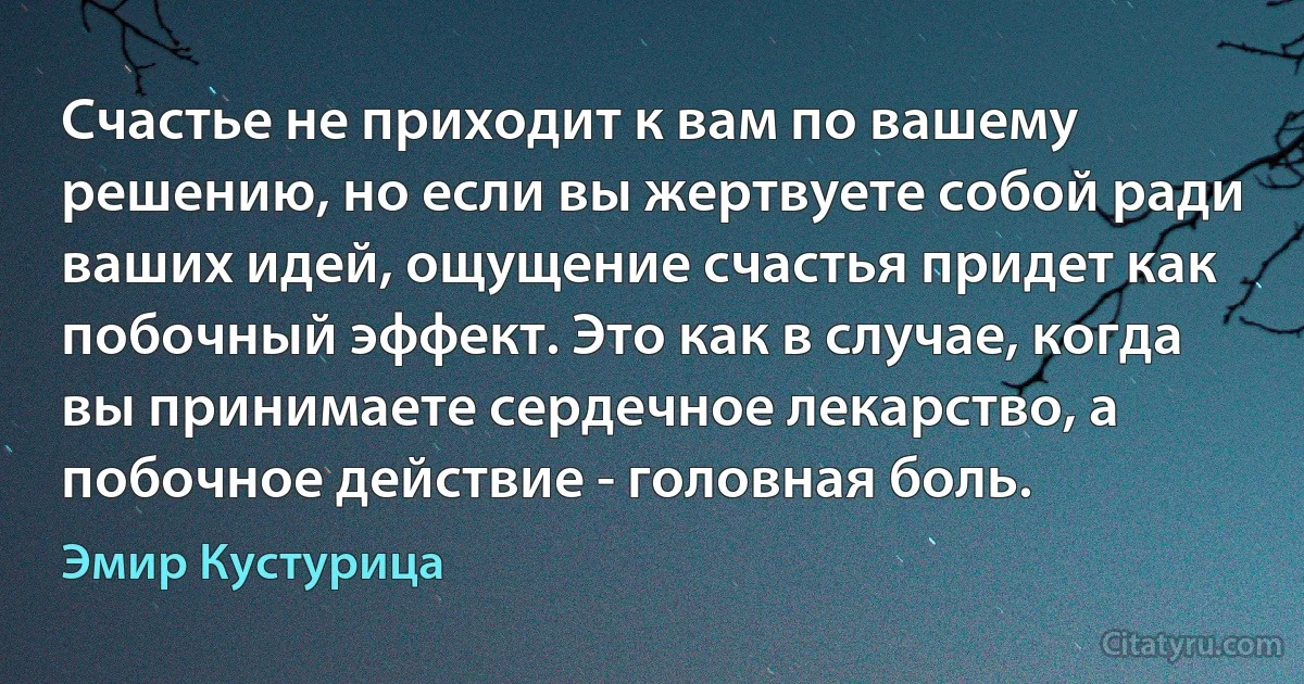 Счастье не приходит к вам по вашему решению, но если вы жертвуете собой ради ваших идей, ощущение счастья придет как побочный эффект. Это как в случае, когда вы принимаете сердечное лекарство, а побочное действие - головная боль. (Эмир Кустурица)