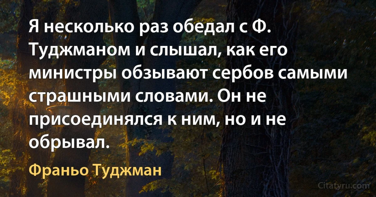 Я несколько раз обедал с Ф. Туджманом и слышал, как его министры обзывают сербов самыми страшными словами. Он не присоединялся к ним, но и не обрывал. (Франьо Туджман)